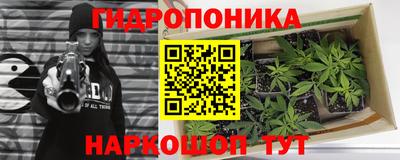 бошки Ливны